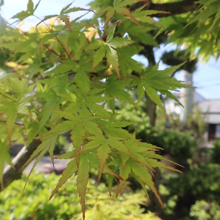 立花荘 Villa Matsuyama  Exterior foto
